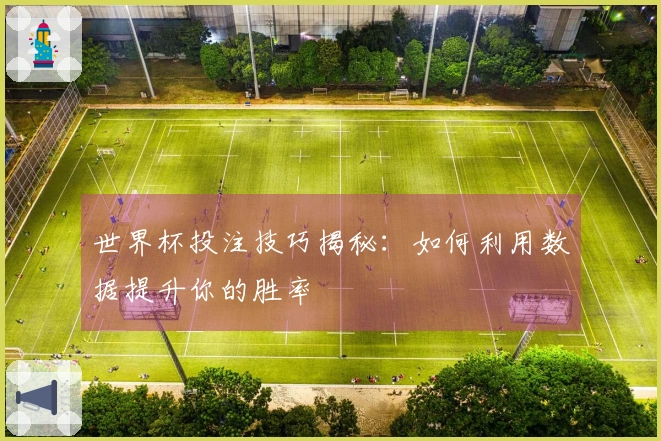 世界杯投注技巧揭秘：如何利用数据提升你的胜率
