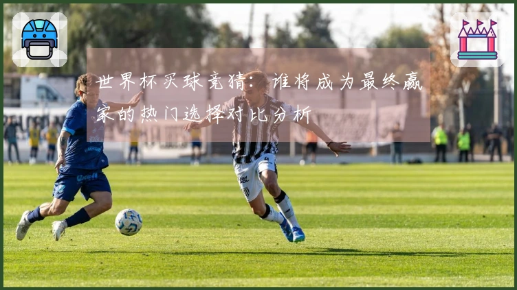 世界杯买球竞猜：谁将成为最终赢家的热门选择对比分析