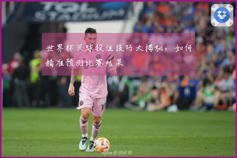 世界杯买球投注技巧大揭秘，如何精准预测比赛结果