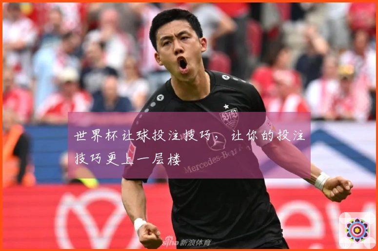 世界杯让球投注技巧，让你的投注技巧更上一层楼
