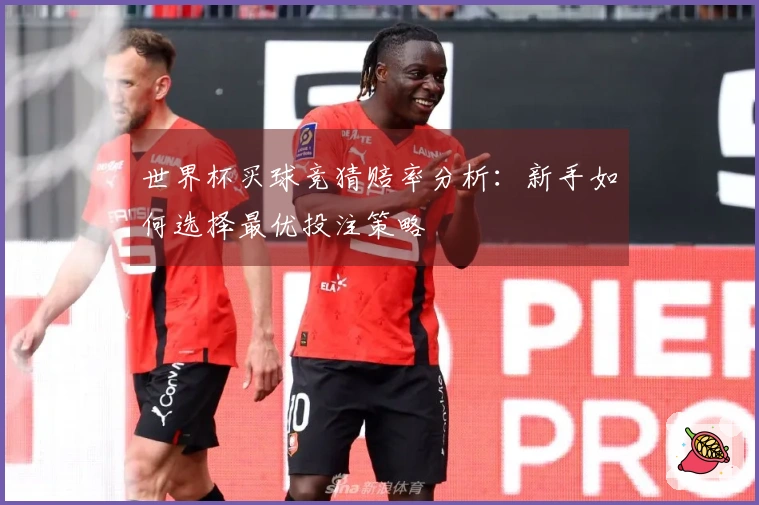 世界杯买球竞猜赔率分析：新手如何选择最优投注策略