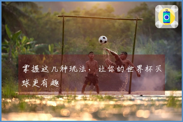 掌握这几种玩法，让你的世界杯买球更有趣