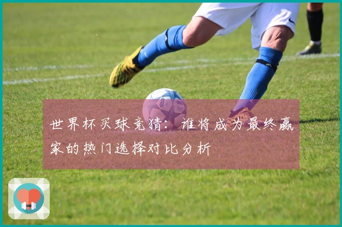 世界杯买球竞猜：谁将成为最终赢家的热门选择对比分析