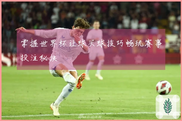 掌握世界杯让球买球技巧畅玩赛事投注秘诀