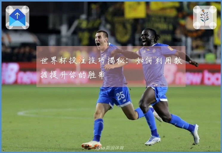 世界杯投注技巧揭秘：如何利用数据提升你的胜率