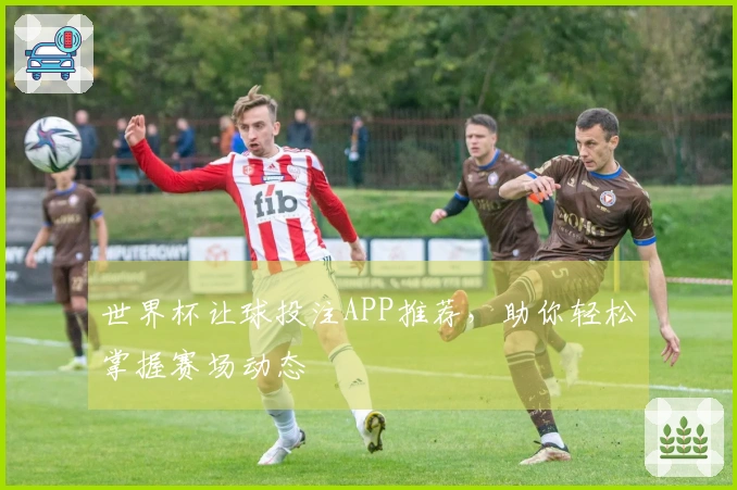 世界杯让球投注APP推荐，助你轻松掌握赛场动态
