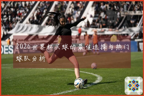 2026世界杯买球的最佳选择与热门球队分析