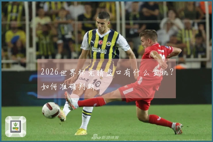 2026世界杯竞猜盘口有什么玄机？如何准确判断？