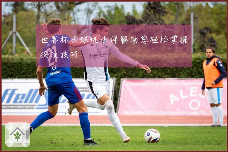 世界杯买球玩法详解助您轻松掌握投注技巧